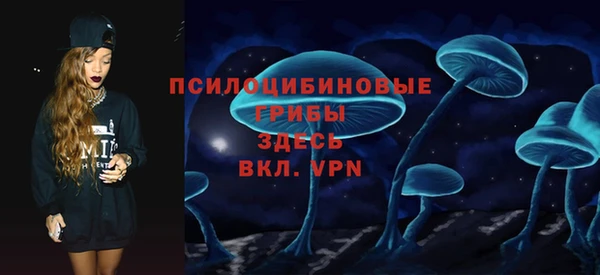 прущие грибы Алексеевка