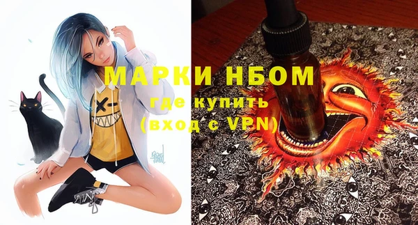 сатива Абинск