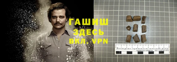 гашик Алексин