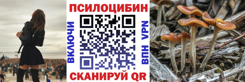 Галлюциногенные грибы GOLDEN TEACHER  мега   Почеп  купить закладку 
